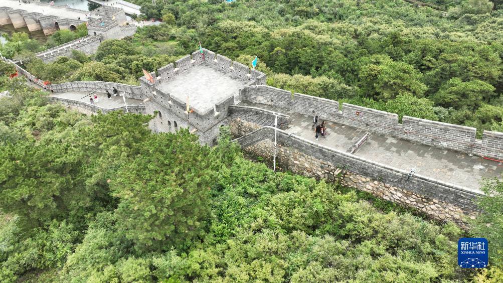 捕鱼移植安卓版